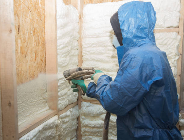 Best Spray Foam Insulation  in Spring Lake, MI